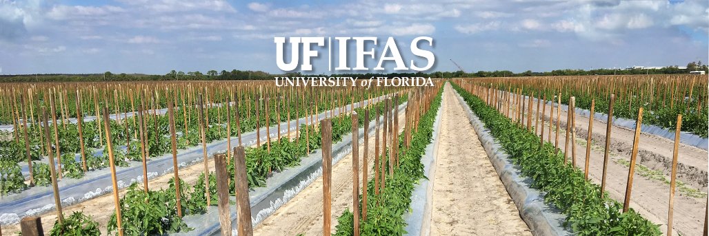 Sarah Strauss banner