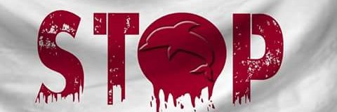 petespocketfull's profile banner image