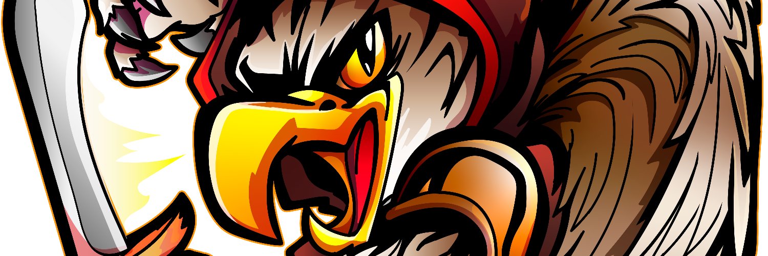 Roguebirdman's profile banner image