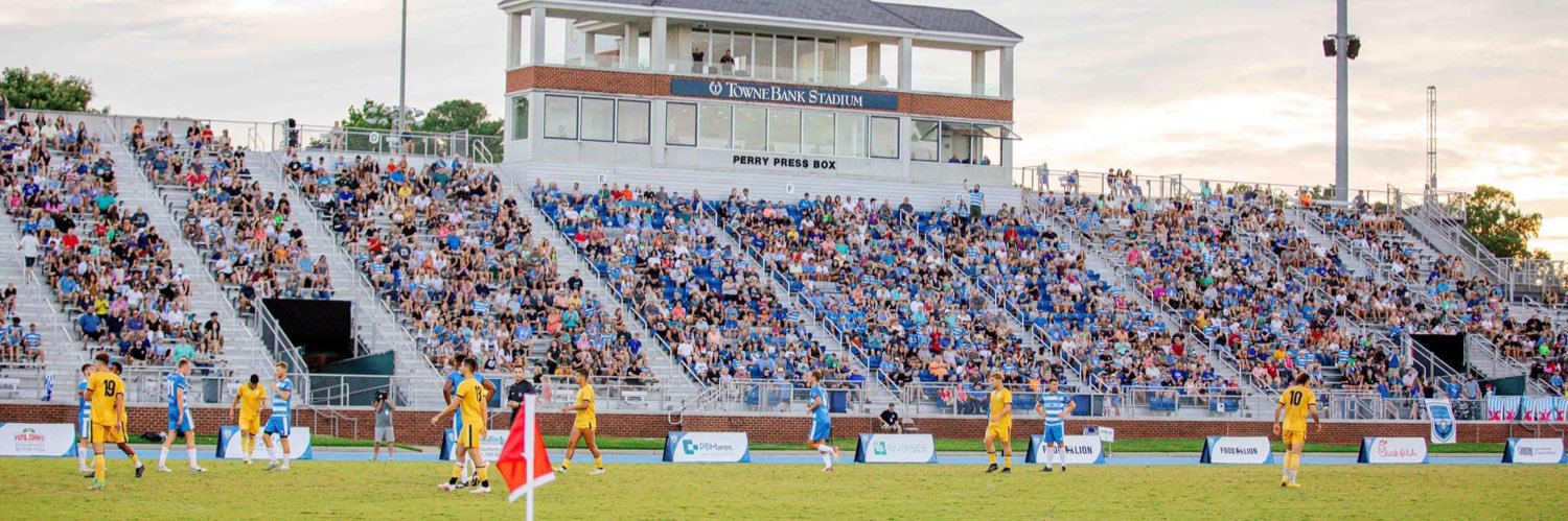 Lionsbridge FC's banner