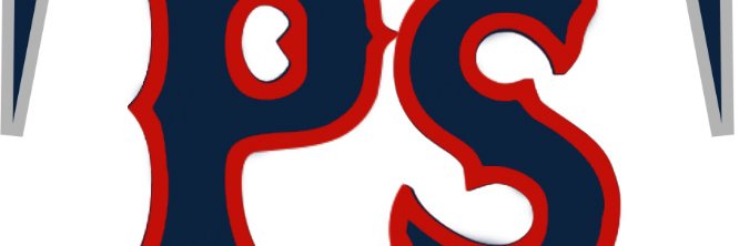 PSouth Baseball's banner