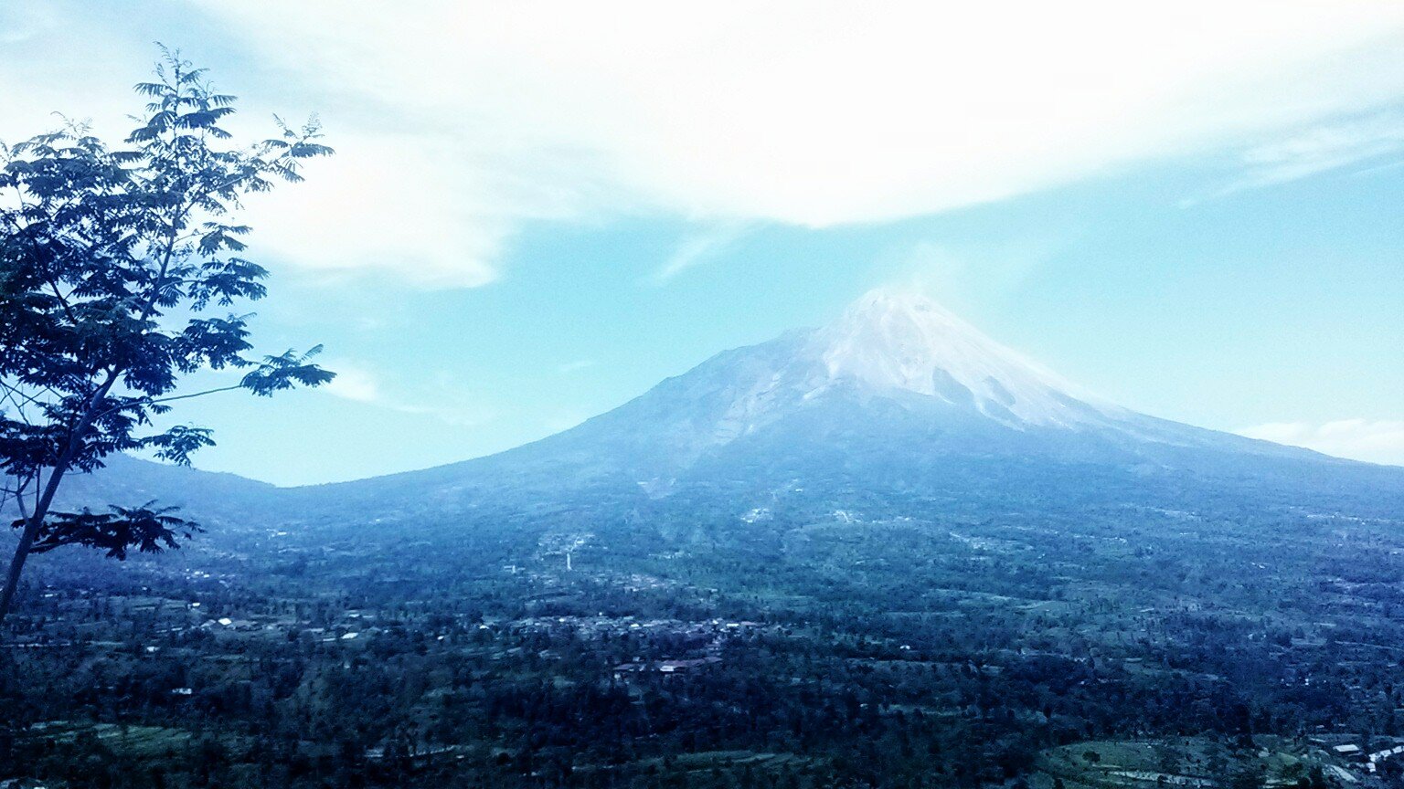 ansamalia's profile banner image