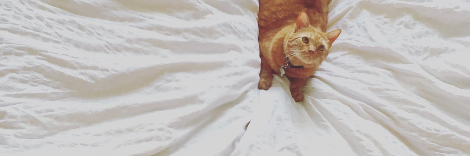 MrTikiGolden's profile banner image