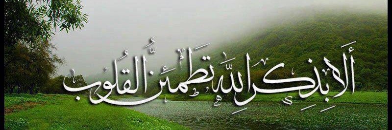 أشرف شيخ العرب banner