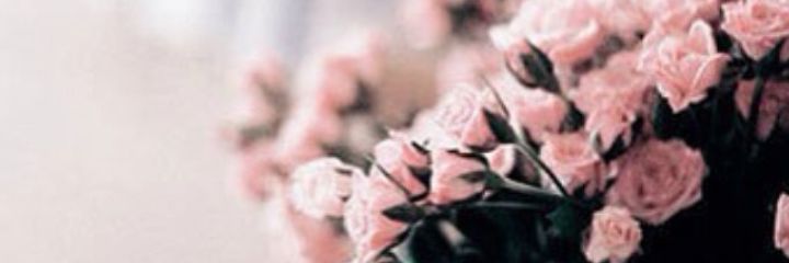 fa_sa208's profile banner image