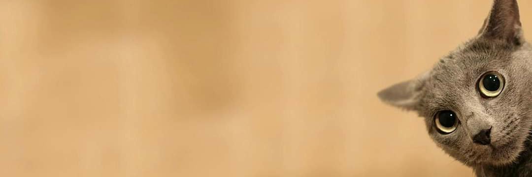 intanwezu's profile banner image