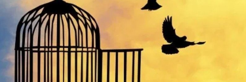 پاکستانی banner