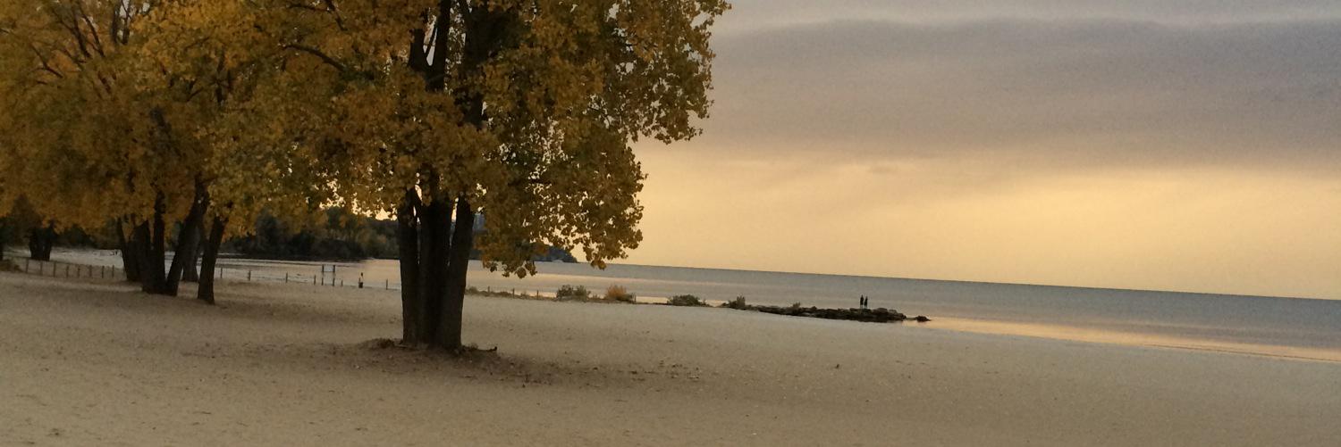 jenakinsey's profile banner image