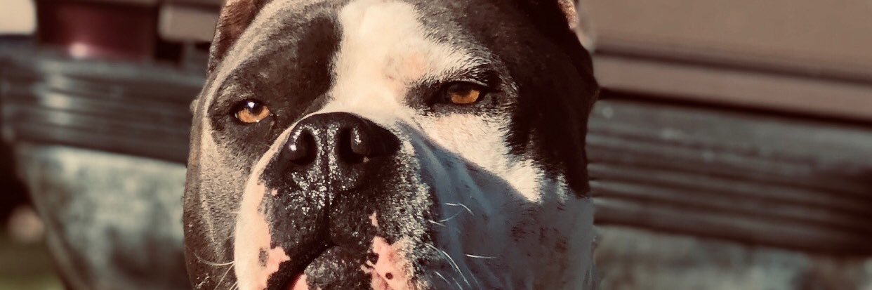 Betomena42's profile banner image