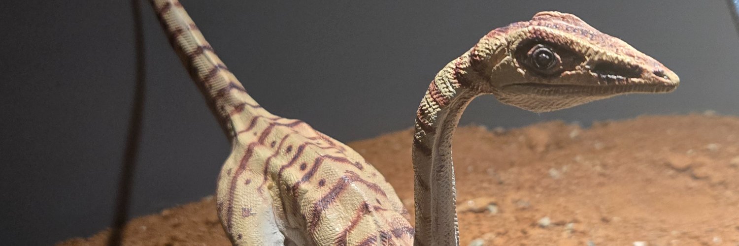 NoMynANu's profile banner image