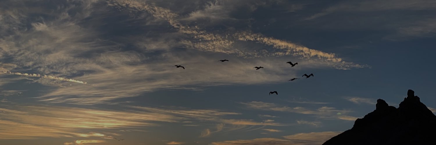 perladelmoral's profile banner image
