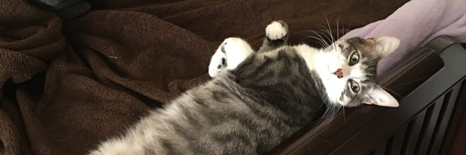 stephgoose911's profile banner image