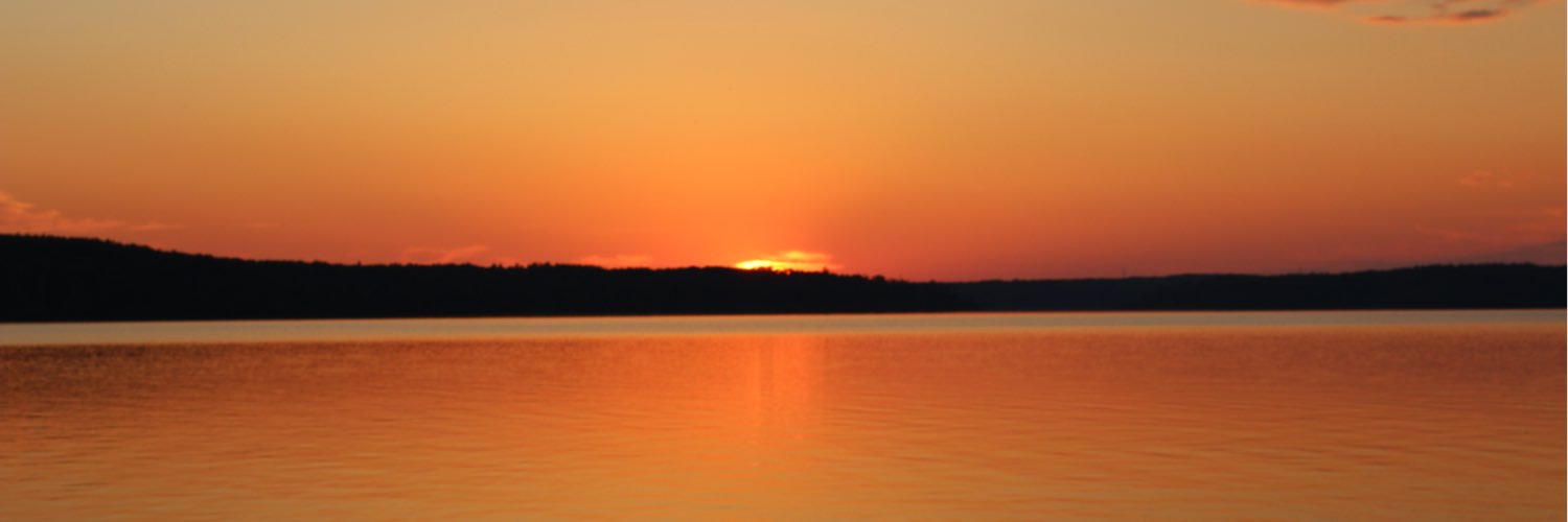 PamRSimmons's profile banner image