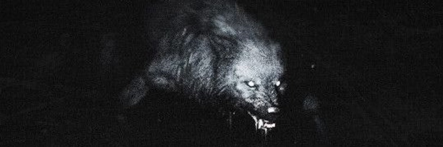TaylorABerge's profile banner image