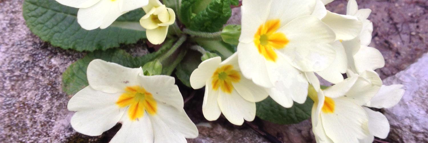 burak57's profile banner image