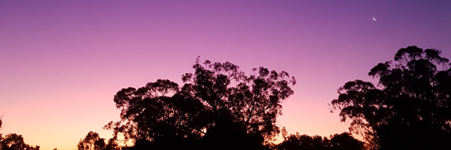 Almiingaramo's profile banner image