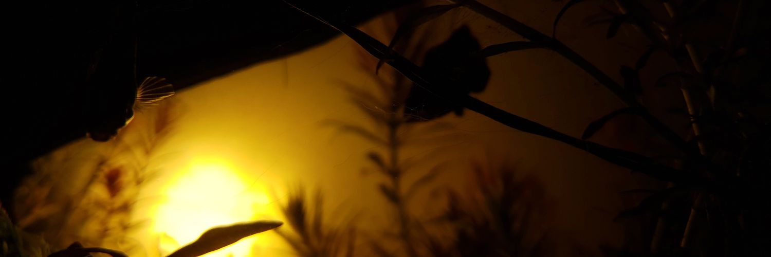 palerthanpale's profile banner image
