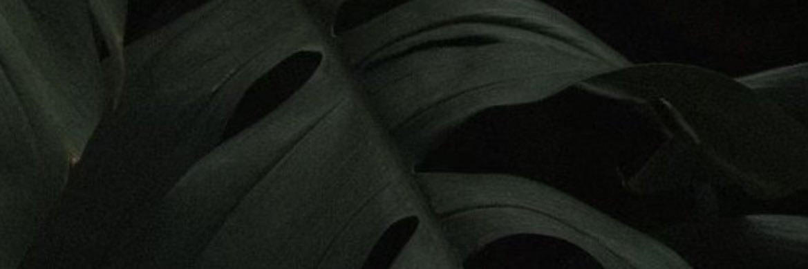 xSethz_'s profile banner image