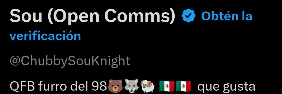 SouKnight235's profile banner image