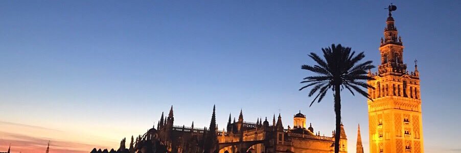 gracetimmermann's profile banner image