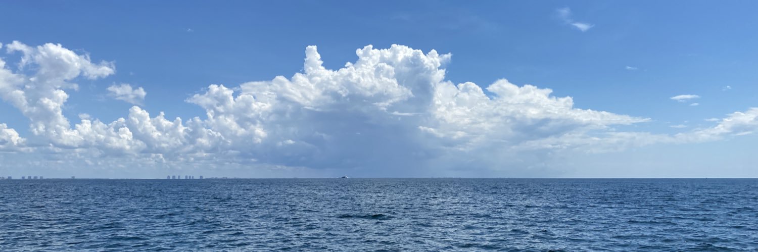 kimswfl's profile banner image