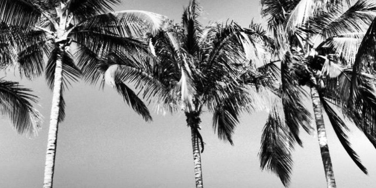 juanchojungle's profile banner image