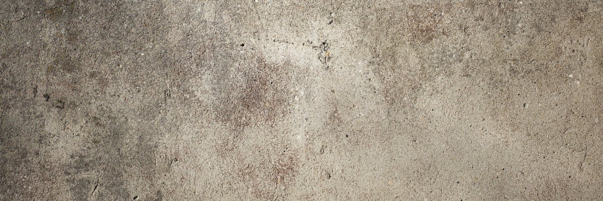 sandraavr's profile banner image
