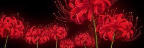 Pluto Nash🚀 banner