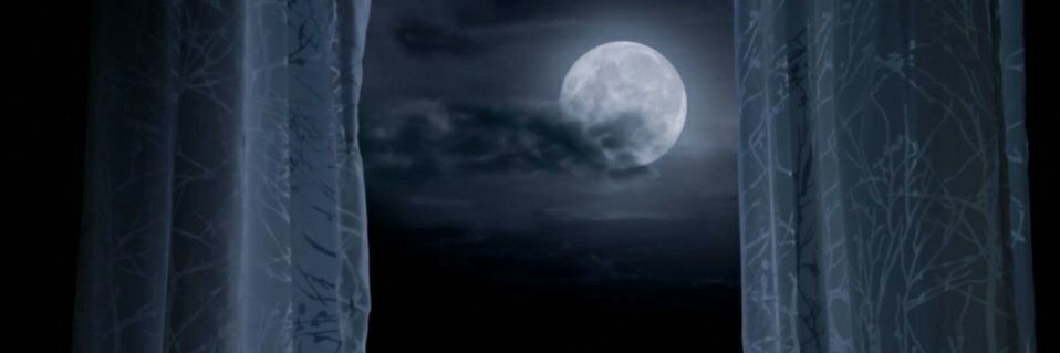 Teen__SCOTT's profile banner image