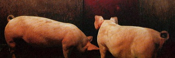bazdrev's profile banner image