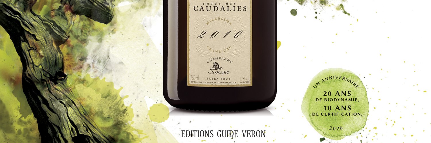 Guide VERON des Champagnes banner