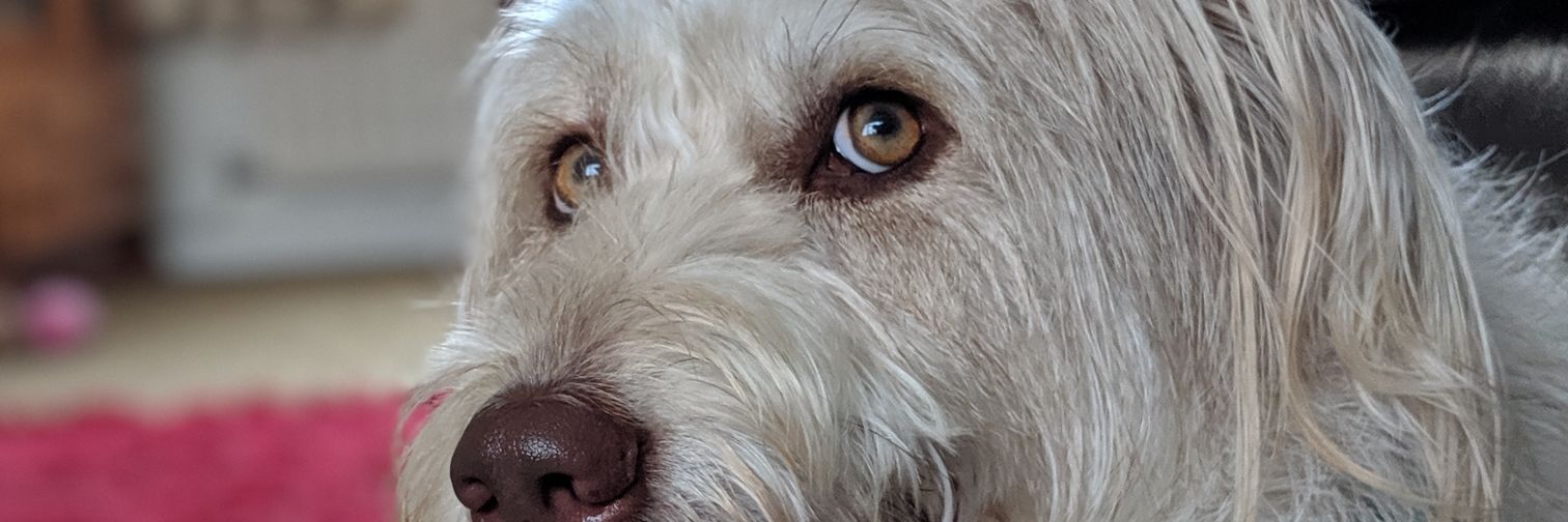StevenRundle's profile banner image