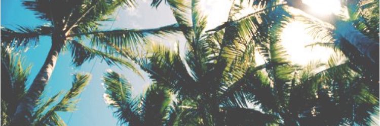ilenazinha's profile banner image