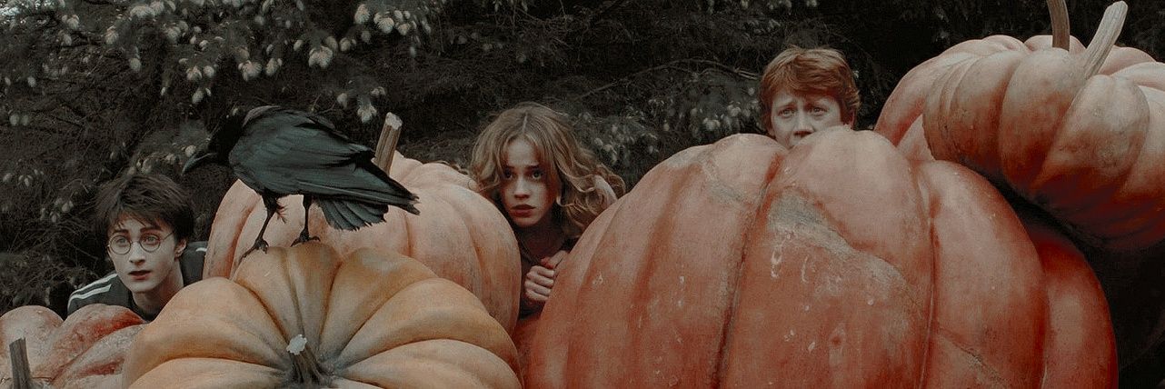 hazdance's profile banner image