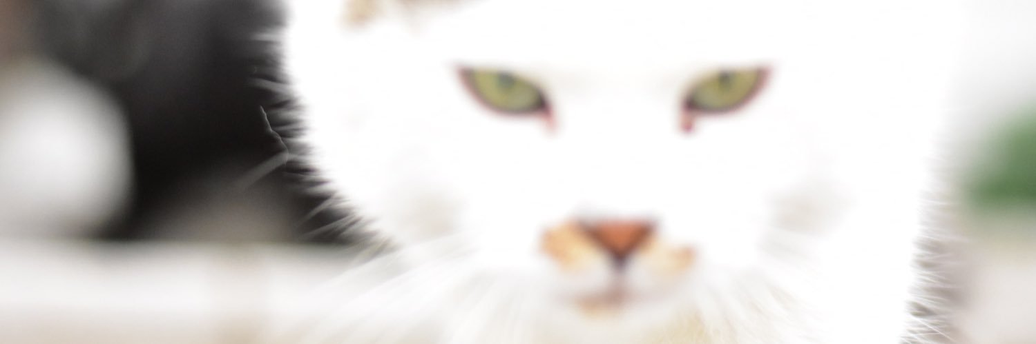 Melfice2012's profile banner image