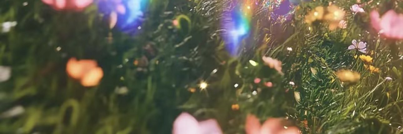 haifa_lil's profile banner image