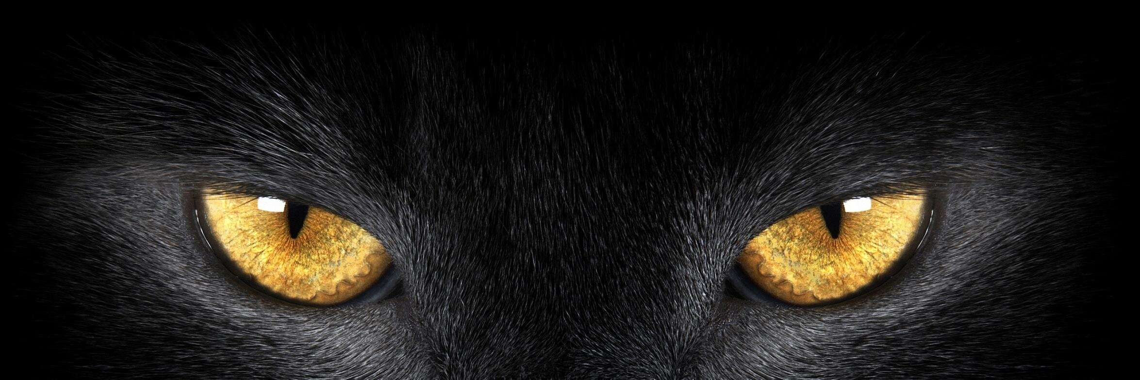 serkanwashere's profile banner image