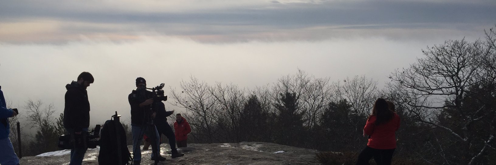 Amy Beveridge banner