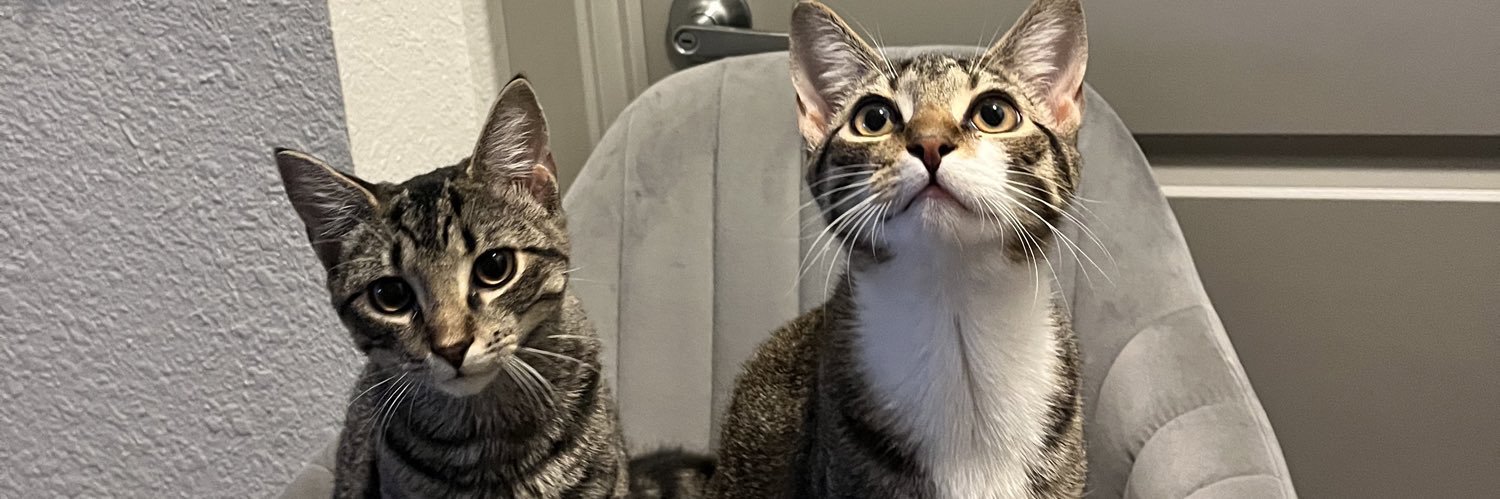 tu bizcochito. banner