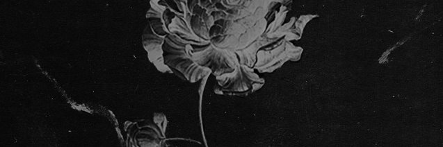 ohdarlingdior's profile banner image