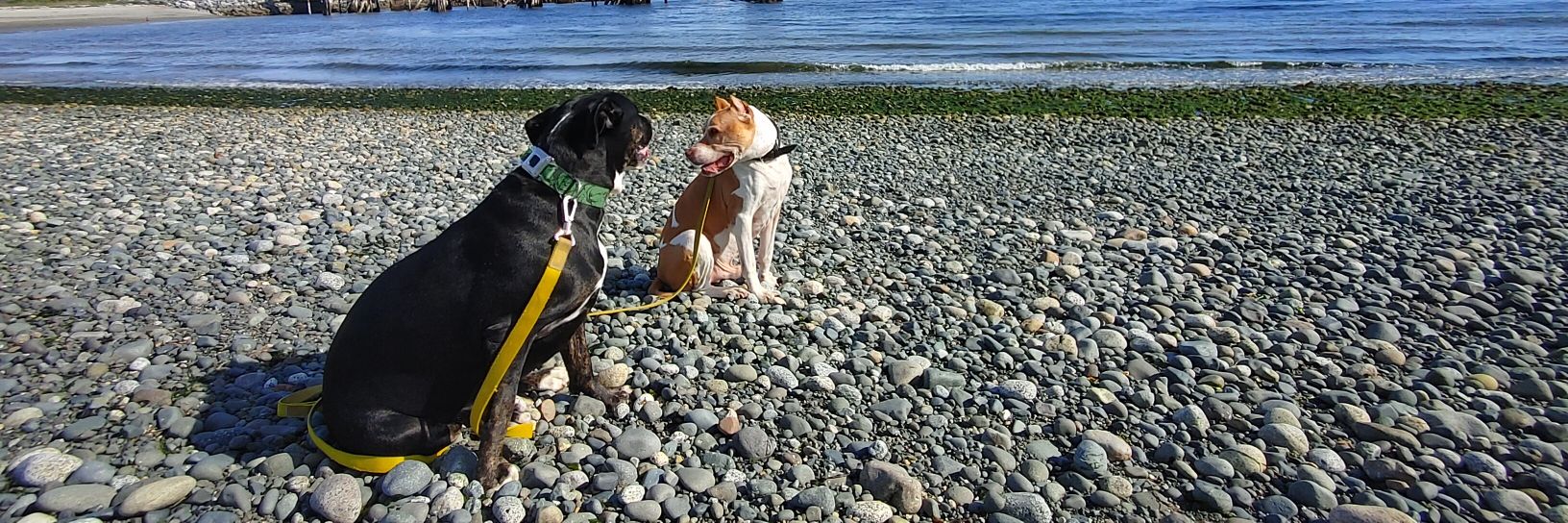 firstnamebunchanumbers banner