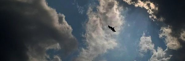 Cyberyev Profile Banner