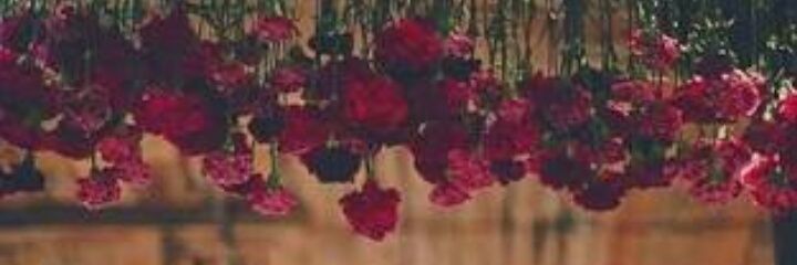 Cindy_rellam's profile banner image