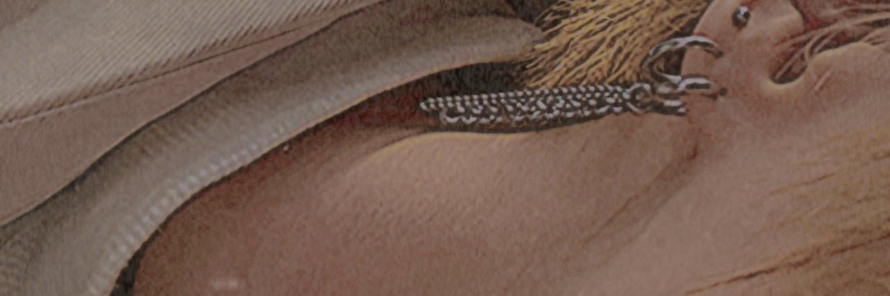 vivircy's profile banner image