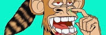 bozokurt's profile banner image