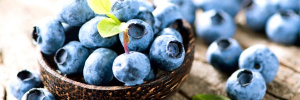 OpenDoorPR Profile Banner