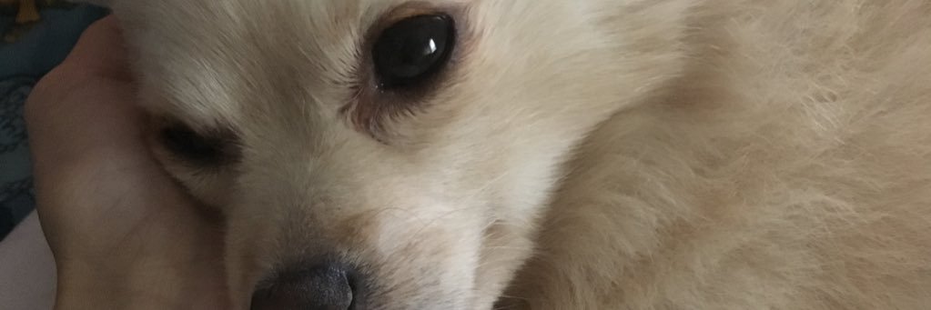 thainasco's profile banner image