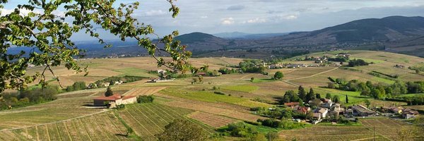 FloraNesme Profile Banner