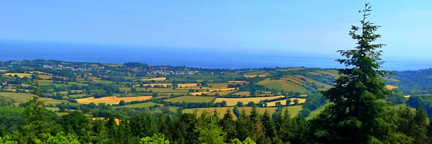 Tim Thorley 🇪🇺🇬🇧🇺🇦🚴🥃 banner