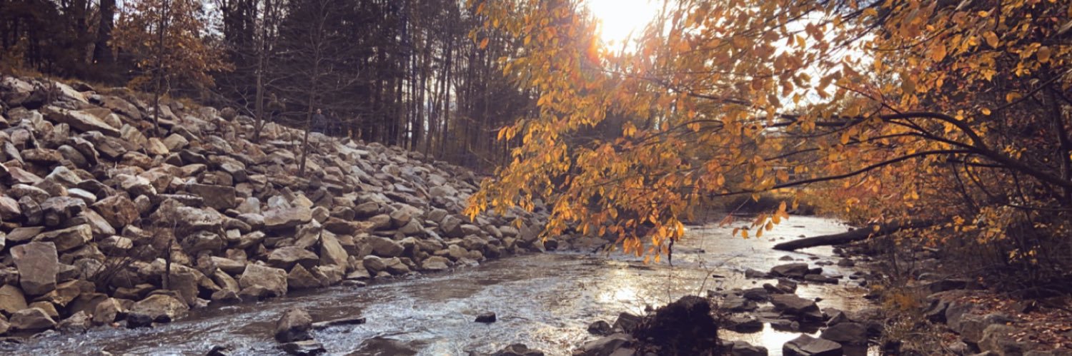 sarahhasenauer's profile banner image